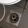 Starbucks - I had to clean the toilet to sit on it - Photo 14