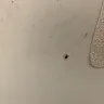Days Inn - bugs in my room