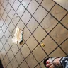 Waffle House - everything - Photo 1