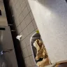 Waffle House - everything - Photo 2