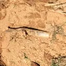 Washington Gas / WGL Holdings - Northern pipeline - Photo 1