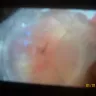 Kroger - pineapples tidbits/roach leg in it - Photo 1