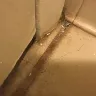 Travelodge - owner/manager kenny kalabhal, condition of room - Photo 4