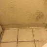 Travelodge - owner/manager kenny kalabhal, condition of room - Photo 5