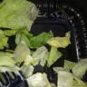 Jack In The Box - salad