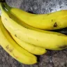 H-E-B - organic bananas, organic tomatoes, watermelon - Photo 1