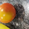 H-E-B - organic bananas, organic tomatoes, watermelon - Photo 2