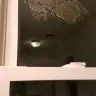 Window World - Window seals - Photo 1