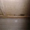 RHP Properties - negligent home, street & community maintenance - Photo 5
