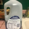 Procter & Gamble - dishwasher soap