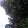 Georgia Power - tree trimming for power lines - Photo 5