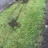 Armishaws Removals - removal service - Photo 2