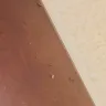 Ramada - room 272 bugs - Photo 1