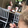 Chick-fil-A - dogs allowed in restaurant - Photo 5