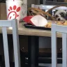 Chick-fil-A - dogs allowed in restaurant