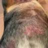 Banfield Pet Hospital - banfield rip off - Photo 2