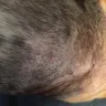 Banfield Pet Hospital - banfield rip off - Photo 3