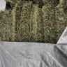 Tarps Plus / Abadak - tarp - Photo 4