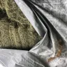 Tarps Plus / Abadak - tarp - Photo 5
