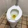 Burger King - unsanitary conditions - Photo 5