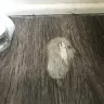 Air Wick - chemical leak from air wick and my kitchen floor removes color - Photo 2