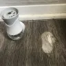 Air Wick - chemical leak from air wick and my kitchen floor removes color - Photo 4
