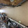 Dollar Tree - general condition and store appearance - Photo 2