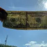 Family Dollar - refused to take my money - Photo 1