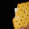 Sobisco Biscuit - jeera top biscuit