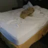 Ramada - room was dirty when I checked in bed was unmade and I had to clean and make the bed myself - Photo 1