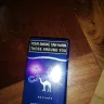 Camel - camel activate - Photo 2