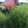 Family Dollar - store appearance - Photo 1