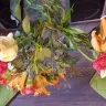 Prestige Flowers - flowers delivery - Photo 2