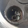 Suzuki - suzuki marine df6 - Photo 4