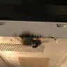 Frigidaire - microwave - Photo 4