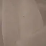 Motel 6 - bed bug in the room - Photo 2