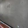 Dollar Tree - cleanliness of store - Photo 5