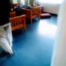 BrightSpring Health Services - people sleeping and neglecting their jobs/proof - Photo 4
