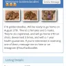 Hoobly - dog I gave a down payment on hoobly thru zelle for 200$ - Photo 3