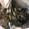 Gardening Express - Received dead plants - Photo 3