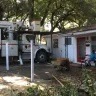 Florida Power & Light [FPL] - tree trimming