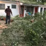 Florida Power & Light [FPL] - tree trimming - Photo 3