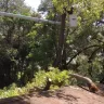 Florida Power & Light [FPL] - tree trimming