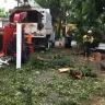 Florida Power & Light [FPL] - tree trimming