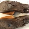 Clarks - sandals - Photo 1