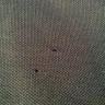AMPM.com - horrible manager - Photo 63