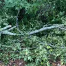 Georgia Power - residential power outage - Photo 1