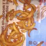Burger King - dhaka - Photo 2