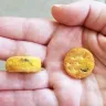 Ritz Crackers - Ritz bitz with cheese