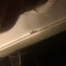 Americas Best Value Inn - bed bugs room 130 - Photo 2